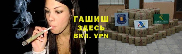 хмурый Алексин