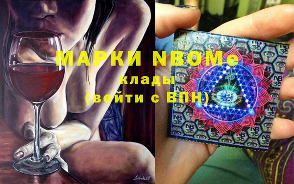 хмурый Алексин