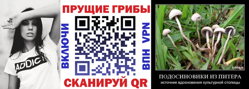 Псилоцибиновые грибы прущие грибы  Алупка 